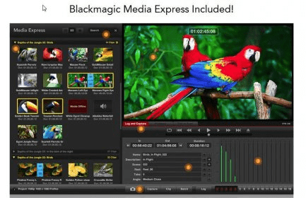 blackmagic design media express software