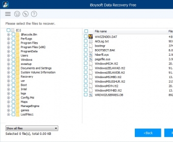 iboysoft data recovery trial license key