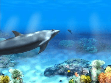 Living 3D Dolphins Full Screen Saver Download - Living 3D Dolphins Full ...