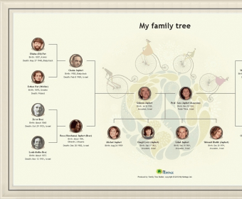 Broderbund family tree maker software download