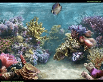 SimAQUARIUM2 Tank-1 Screensaver Download - SimAQUARIUM Screensaver brings