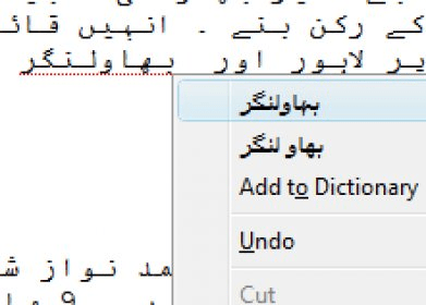 Cleantouch English to Urdu Dictionary