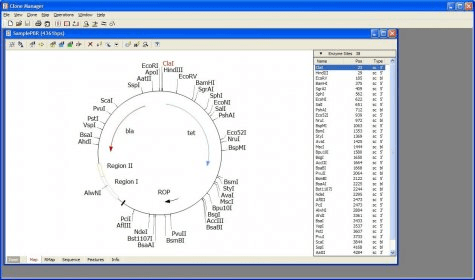 Clone manager free download mac download