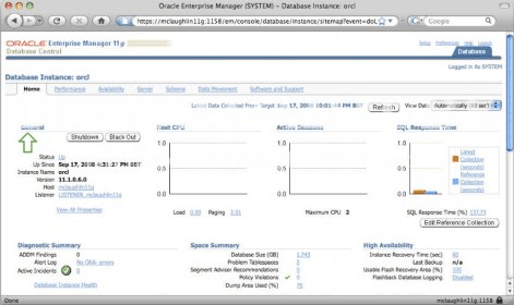 Oracle Client Express Edition 11 2 Download Free Sqlplus Exe