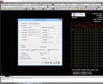 Rgs rebar software with crack