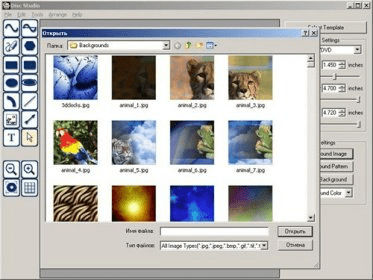 DiscWorks Download - DiscStudio includes a large assortment of images