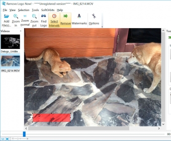 remove logo from video