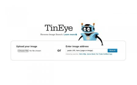 tineye reverse image search google