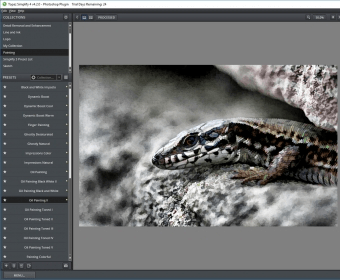 topaz simplify photoshop brush strokes