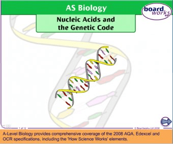 boardworks biology