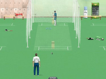 are the servers in cricket revolution down?