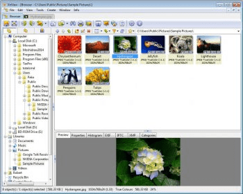 XnView Download - Preview, rename, convert, and share images on your ...