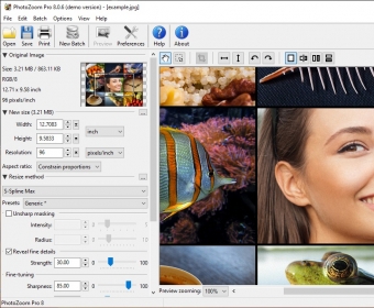 benvista photozoom pro 6.1 unlock code