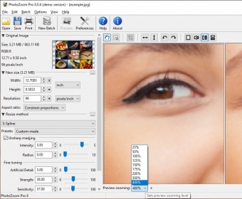 photozoom pro 6 free