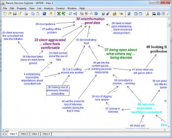 banxia software decision explorer