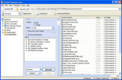 winsome file renamer 8.0