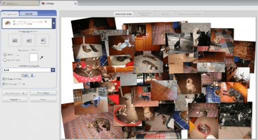 picasa collage maker online