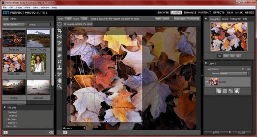 free mgi photosuite 8.1 download