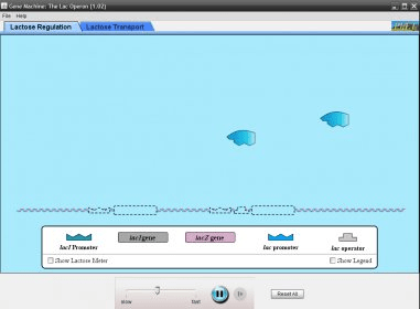 Gene Machine- The Lac Operon Download - Explore the effects of ...