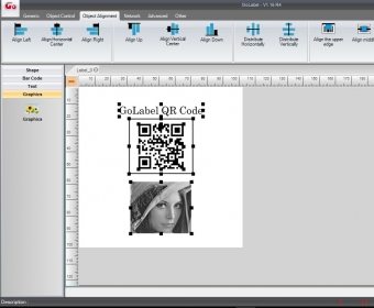 GoLabel Download - Create bar codes, QR codes, maxicodes, and