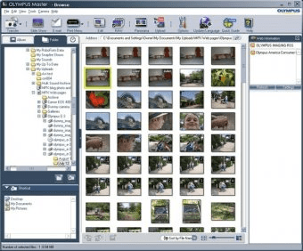 download olympus viewer 3 for mac