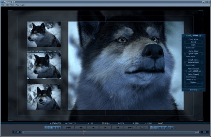 Pdplayer Download - Professional image sequence player and viewer for ...