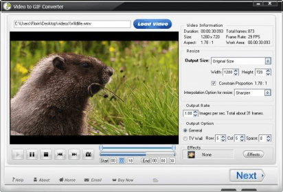 WonderFox Video to GIF Converter - Convert Video to GIF Animation without  Qiality Loss