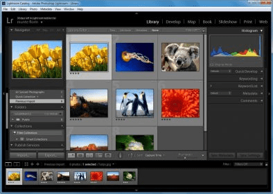adobe photoshop lightroom 5.0 with serial key free download