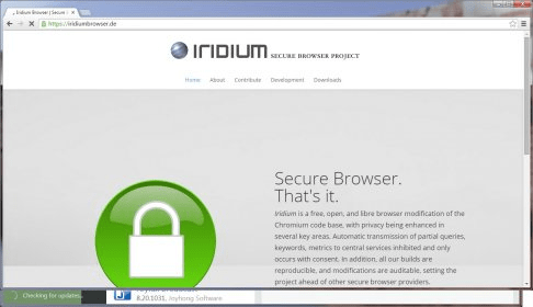 Обзор браузера iridium browser