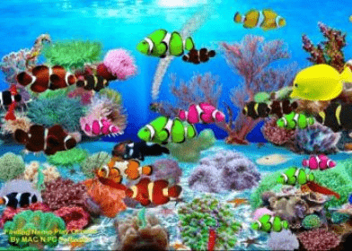 Finding Nemo Aquarium Download - Finding Nemo Aquarium