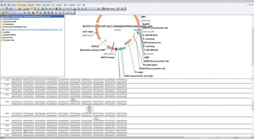 Vector Nti For Mac Free Download