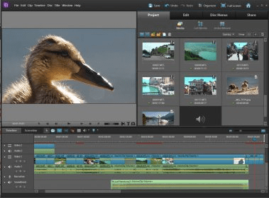 adobe premiere elements 10.0