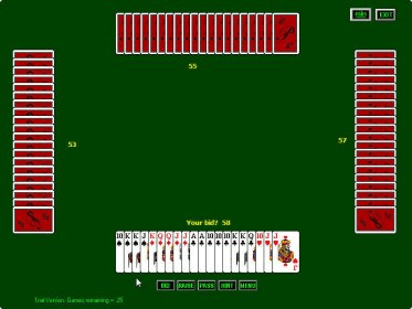 play double deck pinochle