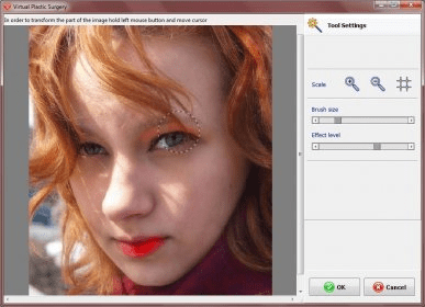free virtual plastic surgery software