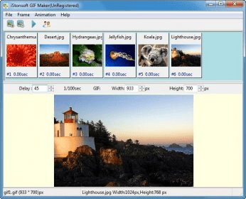 iStonsoft GIF Maker Download - You can create GIF images from most ...