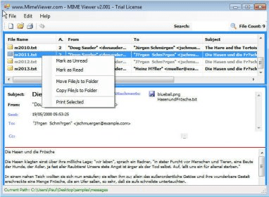 MIME Attachment View