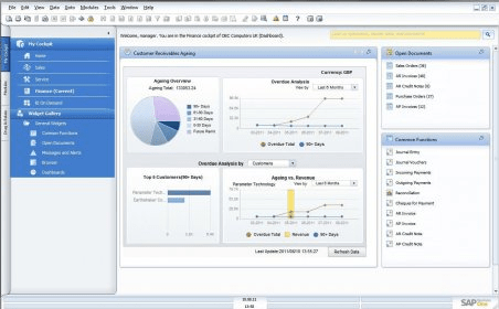 what is sap business one 8.8