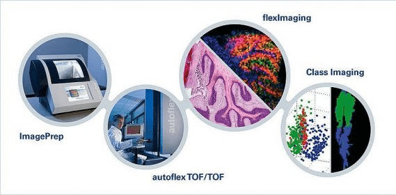 Bruker Daltonics flexImaging Download - A tool for two-dimensional ...