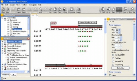 clc sequence viewer 7.5 workflow