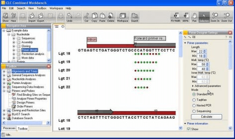 search nucleotide sequence on clc main workbench