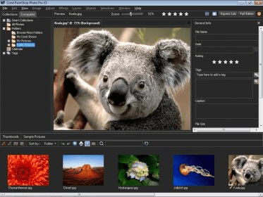 coreldraw graphics suite x6 or adobe photoshop 15