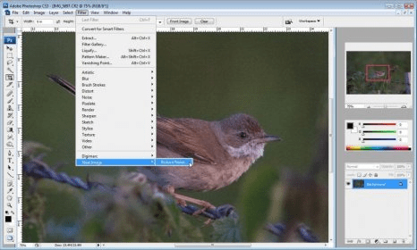 neat image plugin for photoshop