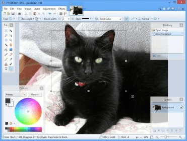 paint net for mac download free