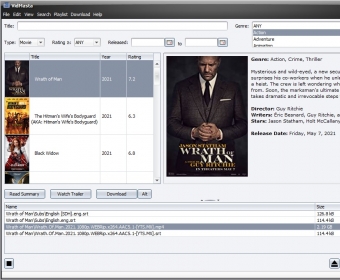 VidMasta 28.8 download the new version for windows