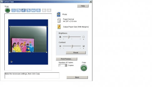 epson scan preview window not showing