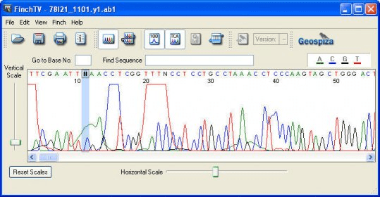 chromatogram viewer online