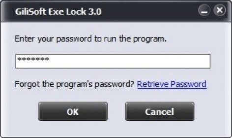 GiliSoft Exe Lock 10.8 free downloads