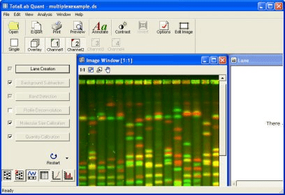 imagequant tl 8.1 crack