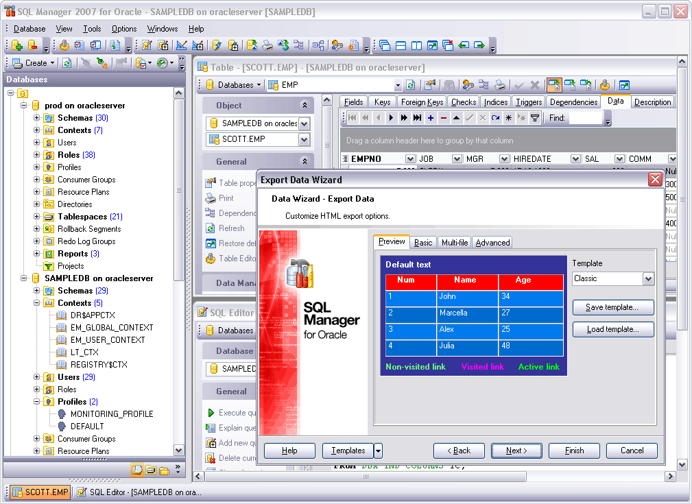 EMS SQL Manager 2007 Lite for Oracle 1.5 : Main Window