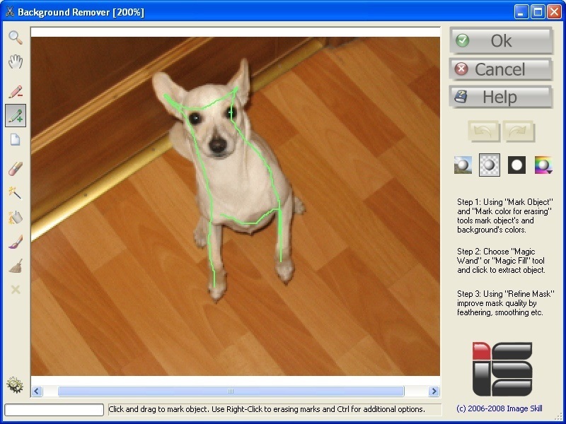 ImageSkill Background Remover 2.1 : Main window